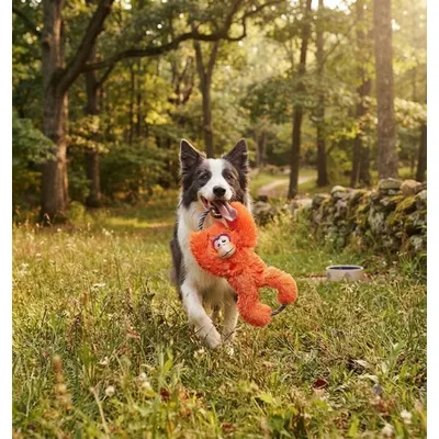 Jeu pour chien Tuggz Singe Orange Jeu pour chien Tuggz Singe Orange