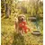 Jeu pour chien Tuggz Singe Orange Jeu pour chien Tuggz Singe Orange
