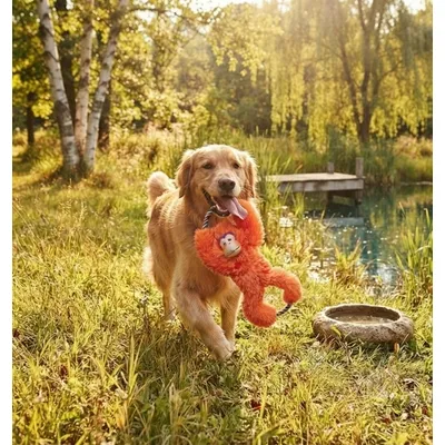 Jeu pour chien Tuggz Singe Orange Jeu pour chien Tuggz Singe Orange