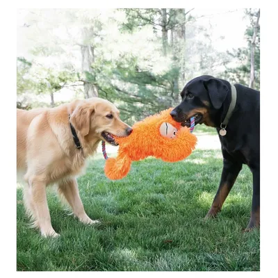 Jeu pour chien Tuggz Singe Orange