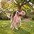 Peluche Flamant rose grand yeux pour chien Peluche Flamant rose grand yeux pour chien
