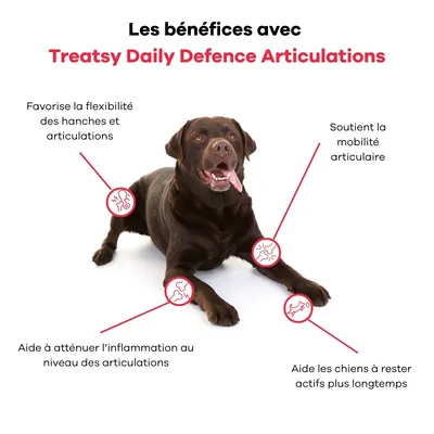 Treatsy - Complément Alimentaire Articulations pour chien