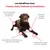 Treatsy - Complément Alimentaire Articulations pour chien