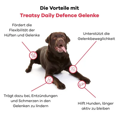 Treatsy – Nahrungsergänzungsmittel Gelenke für Hunde Treatsy – Nahrungsergänzungsmittel Gelenke für Hunde