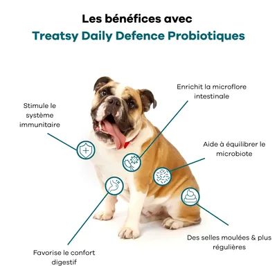 Treatsy - Complément Alimentaire Probiotiques pour chien