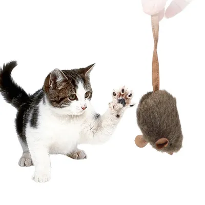 Zoomtopia Jouets réalistes pour souris et chats