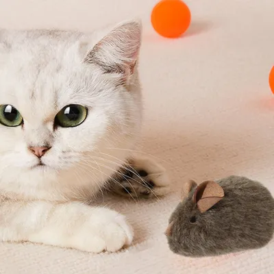 Zoomtopia Jouets réalistes pour souris et chats