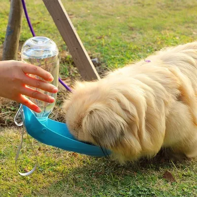 Zoomtopia Biberon d'eau pour chien