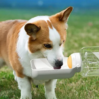 Zoomtopia Gourde pour chien avec nourriture