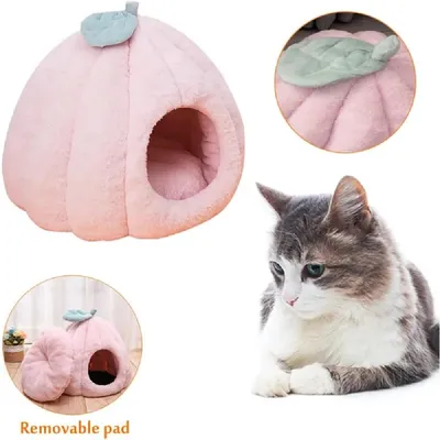 Lits pour chats et canapés troglodytes