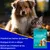 Zoomtopia Lingettes nettoyantes pour les yeux des chats