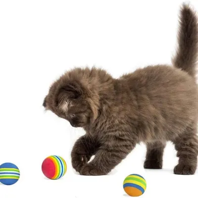 Zoomtopia - Lot de 10 Balles en Mousse Souple pour Chat 3.5CM