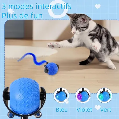Zoomtopia Balle intelligente pour chat