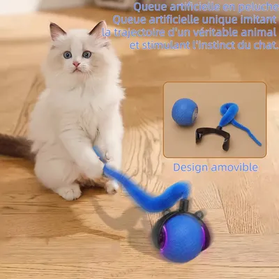 Zoomtopia Balle intelligente pour chat