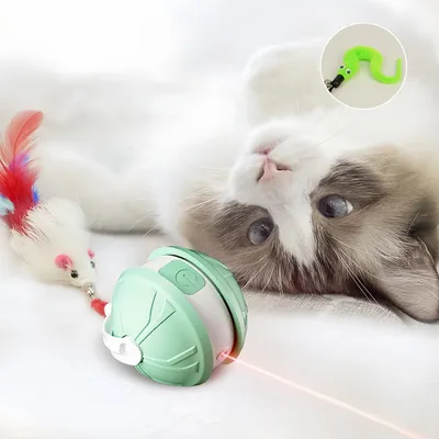 Zoomtopia Cat Toy balle Interactive Smart vert