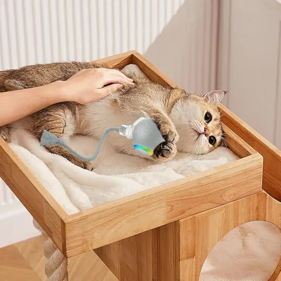 Zoomtopia Jouet à balle roulante automatique pour chat