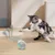 Zoomtopia Jouet à balle roulante automatique pour chat