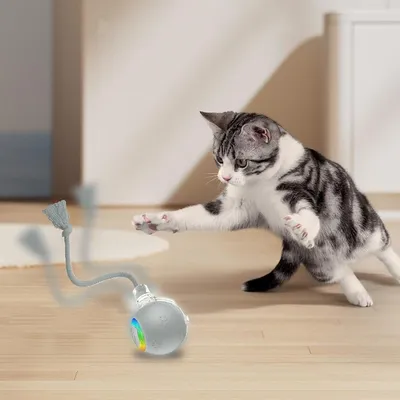Zoomtopia Jouet à balle roulante automatique pour chat