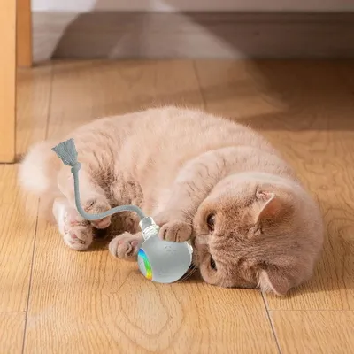 Zoomtopia Jouet à balle roulante automatique pour chat