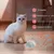 Zoomtopia Jouet à balle roulante automatique pour chat
