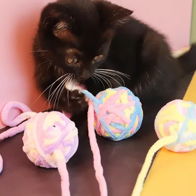 Zoomtopia Lot de 3 Balles Interactives avec Clochette pour Chat