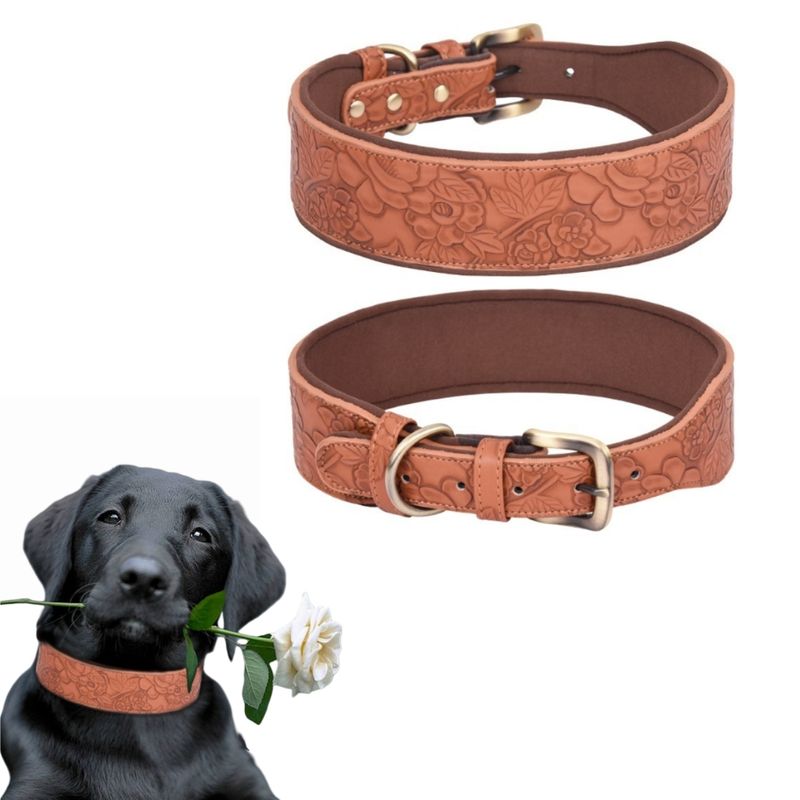 Zoomtopia Collier pour chien ajustable