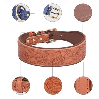 Zoomtopia Collier pour chien ajustable