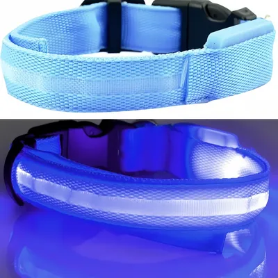 Zoomtopia Collier Lumineux LED Anti-Fugue pour Chien - Bleu, Rechargeable