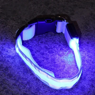 Zoomtopia Collier Lumineux LED Anti-Fugue pour Chien - Bleu, Rechargeable
