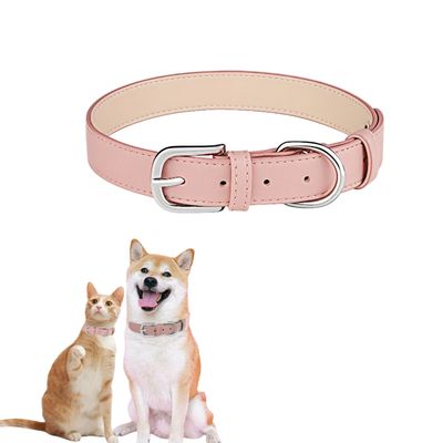 Zoomtopia Collier pour chien