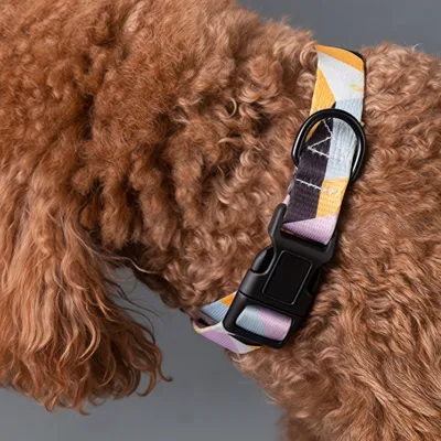 Zoomtopia Collier pour chien en polyester