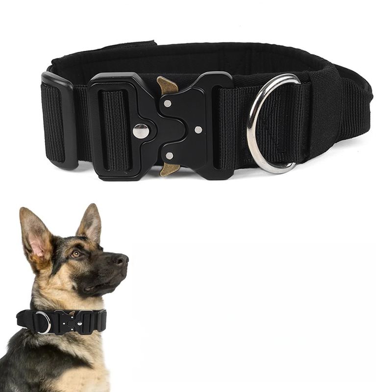 Zoomtopia Collier tactique pour chien