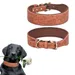 Zoomtopia Collier pour chien ajustable