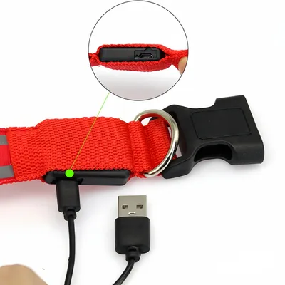 Zoomtopia Collier Lumineux LED Anti-Fugue pour Chien - Bleu, Rechargeable