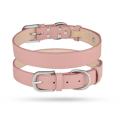 Zoomtopia Collier pour chien