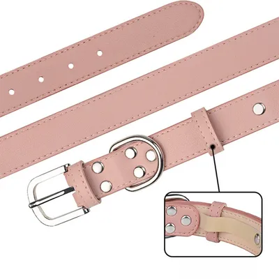 Zoomtopia Collier pour chien