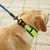 Zoomtopia Collier réfléchissant pour chien