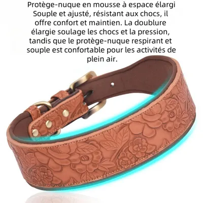 Zoomtopia Collier pour chien ajustable