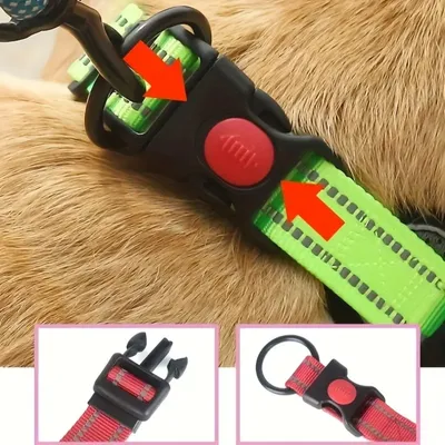 Zoomtopia Collier réfléchissant pour chien