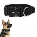 Zoomtopia Collier tactique pour chien