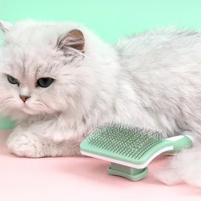 Zoomtopia Brosse dépilatoire pour chiens et chats verte