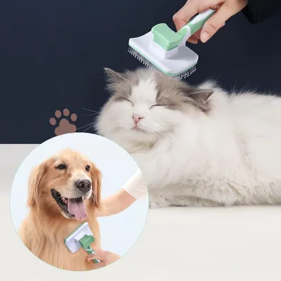 Zoomtopia  Brosse anti peluches pour chiens et chats