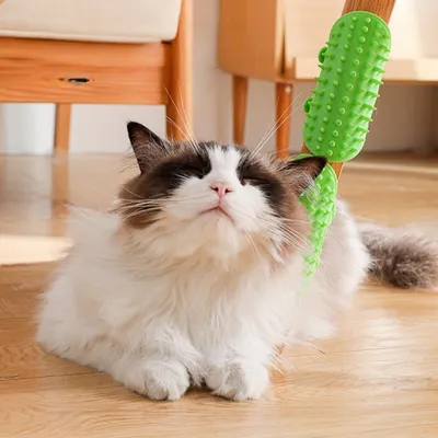 Zoomtopia 5PCS Brosse de Toilettage Autonettoyante pour Chien et Chat Jaune