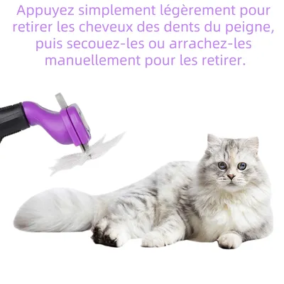 Zoomtopia Peigne pour animaux de compagnie