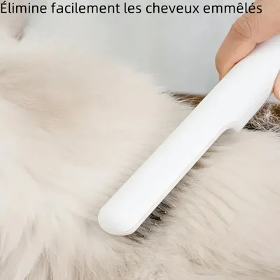 Zoomtopia Peigne pour animal de compagnie