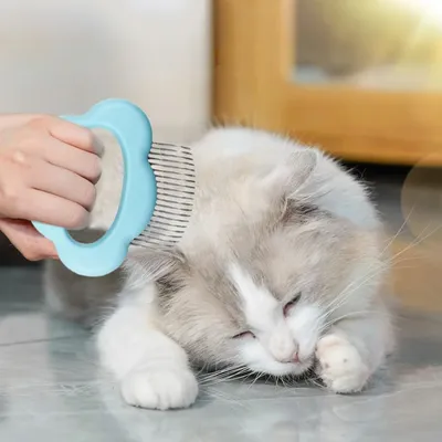 Zoomtopia Outil de toilettage pour animaux