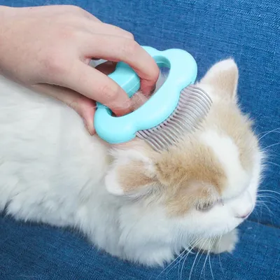 Zoomtopia Outil de toilettage pour animaux