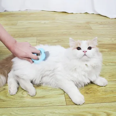 Zoomtopia Outil de toilettage pour animaux