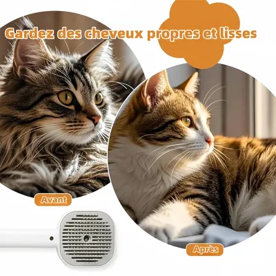 Zoomtopia Épilation à la brosse à vapeur pour chat et chien