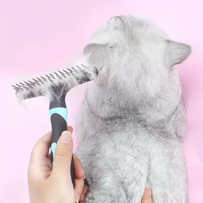 Zoomtopia Peigne pour animaux de compagnie Élimine les poils et les nœuds